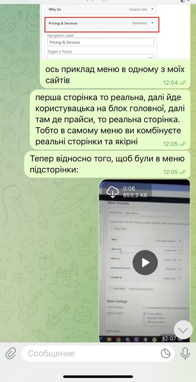 Wordpress - stvorennya-saytiv-dopomoga-uchnyam-z-sajtamy-Aili-Orro (4)