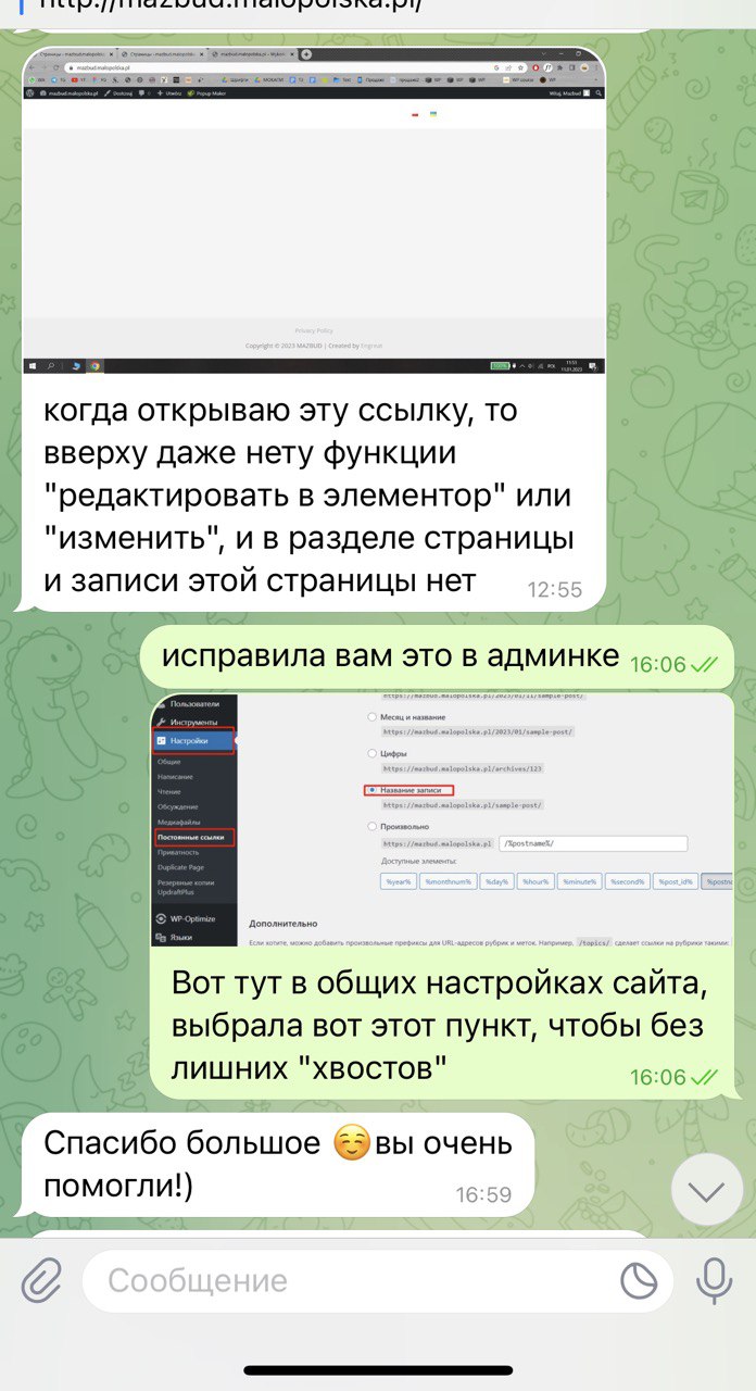 Wordpress - stvorennya-saytiv-vidpovila-Aili-Orro (3)