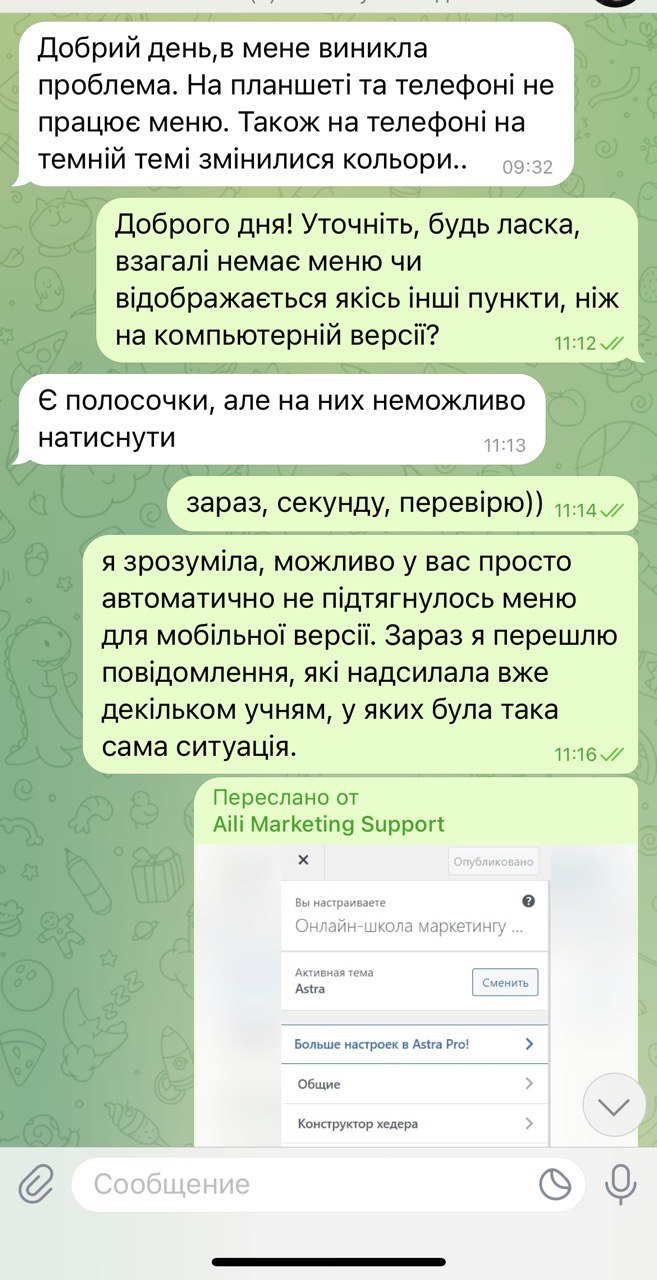 Wordpress - stvorennya-saytiv-vidpovila-Aili-Orro (4)